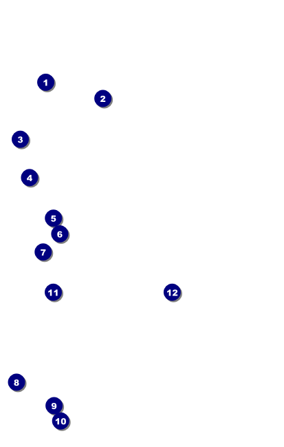 All Purpose Angle VIP Event Badge Medium Front Field Markers