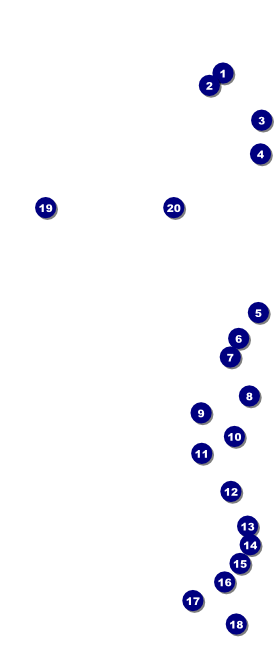 All Purpose Hex VIP Event Badge Large Front Field Markers