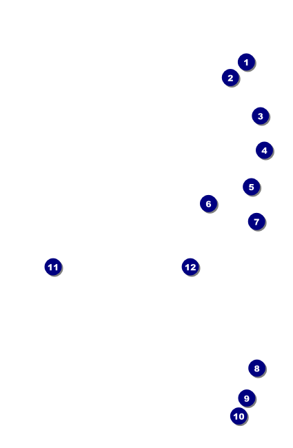 All Purpose Hex VIP Event Badge Small Front Field Markers