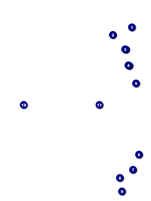 Basketball Court Economy Event Badge Front Field Markers
