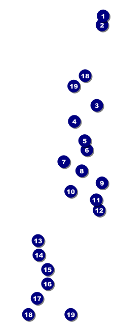 Chinese New Year Rat Raffle Ticket Front Field Markers
