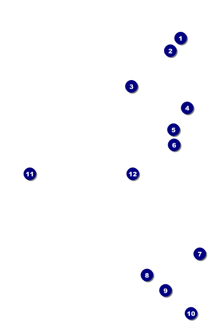 Color Circle VIP Event Badge Medium Front Field Markers