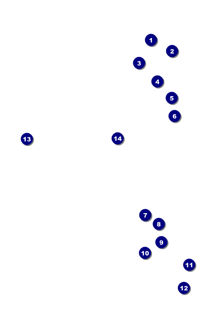 MMA Main Event VIP Event Badge Small VIP Event Badge Small Front Field Markers
