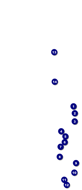 Modern Dance VIP Event Badge Large VIP Event Badge Large Front Field Markers