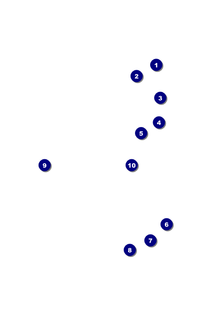 Fire and Ice VIP Event Badge Medium Front Field Markers