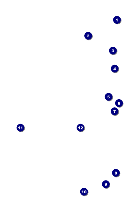 Football Blue VIP Event Badge Medium Front Field Markers