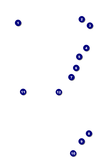 Roaring 20s VIP Event Badge Medium VIP Event Badge Medium Front Field Markers