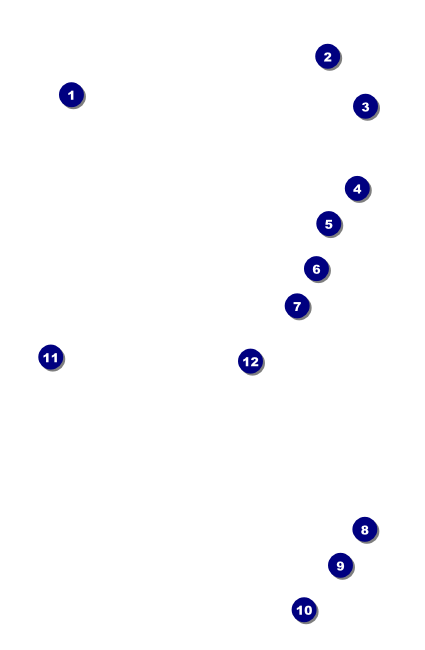 Roaring 20s VIP Event Badge Small VIP Event Badge Small Front Field Markers