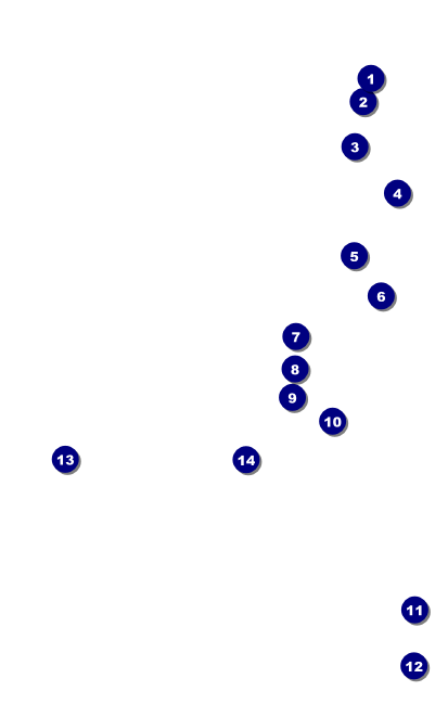 Soccer stadium VIP Event Badge Medium VIP Event Badge Medium Front Field Markers