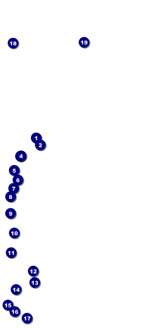 Your Photo Concert Backstage Credentials Front Field Markers