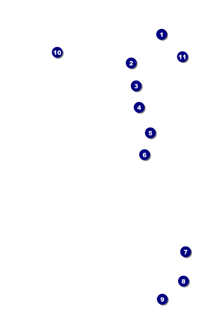 Hippie VIP Event Badge Small Front Field Markers