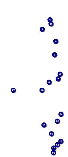 All Purpose Circle VIP Event Badge Large Front Field Markers