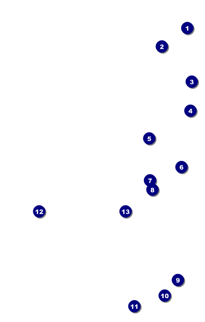 Animal Print VIP Event Badge Medium Front Field Markers