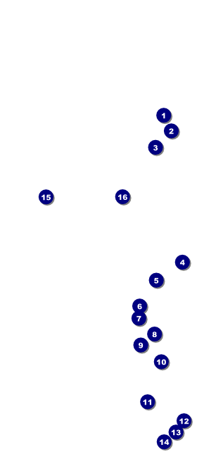 Mexican Fiesta VIP Event Badge Large Front Field Markers