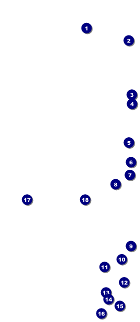 Bike VIP Event Badge Large Front Field Markers