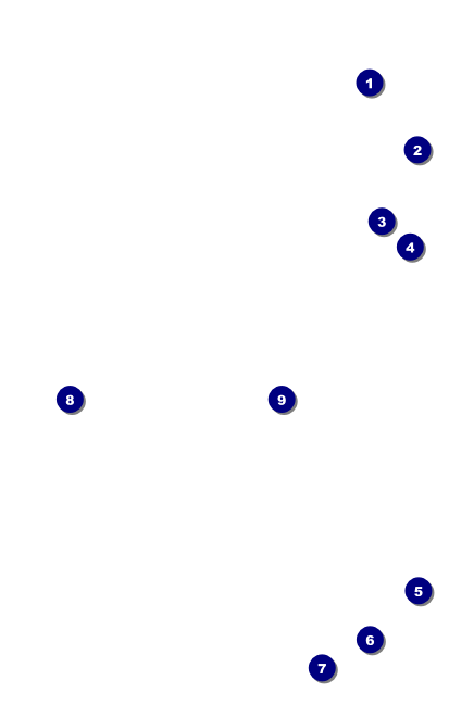 Blues Cruise VIP Event Badge Medium Front Field Markers