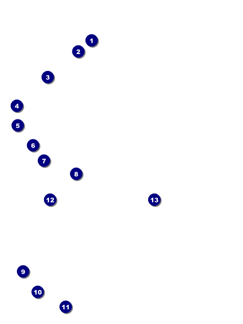 Camouflage Economy Event Badge Front Field Markers