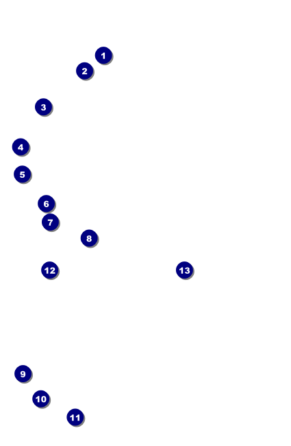 Camouflage VIP Event Badge Small Front Field Markers