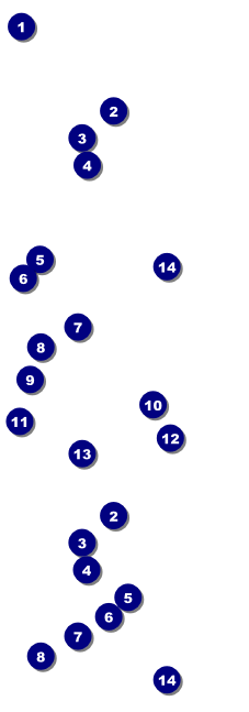 Golf Water Hazard Event Ticket Front Field Markers