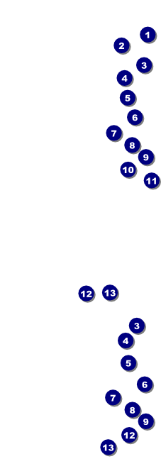 BBQ Retro Chalkboard General Admission Front Field Markers