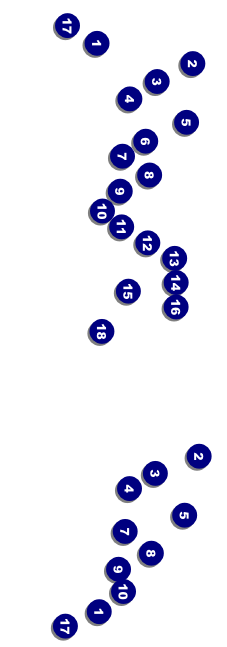 Bowling Event Ticket Front Field Markers