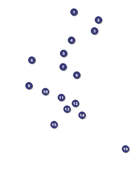 Florida Invitation Front Field Markers