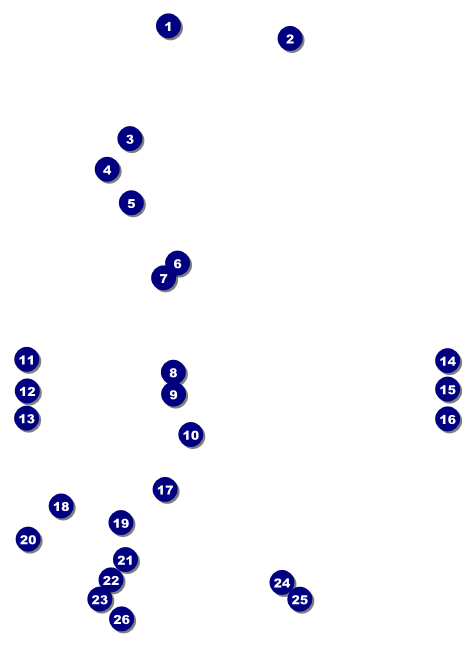 Football Lights Invitation Front Field Markers