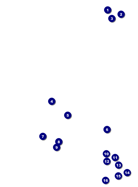 Chinese New Year Horse Invitation Front Field Markers