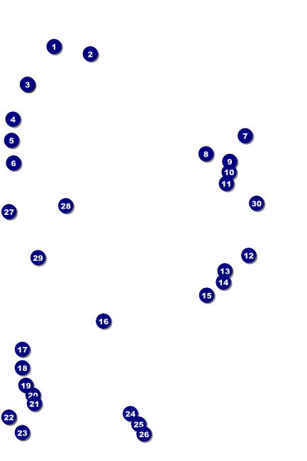 Roller Derby Jammer Poster Front Field Markers