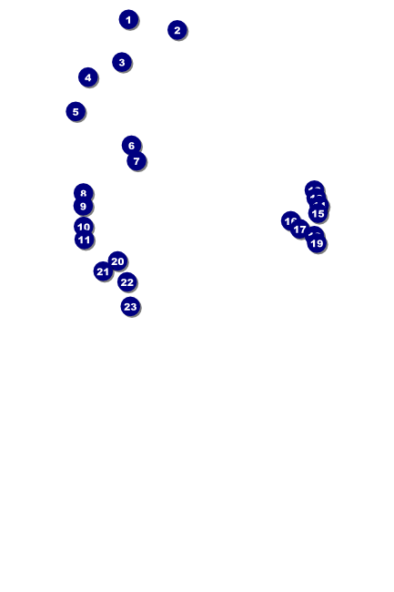 San Jose Poster Front Field Markers