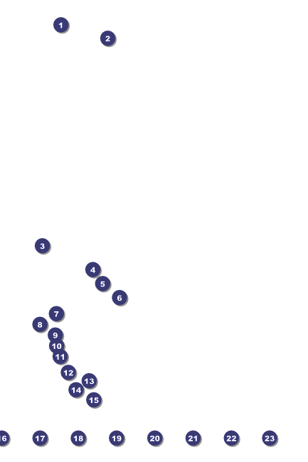 Skating Party Logo Poster Front Field Markers