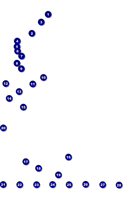 Winter Festival Logo Poster Front Field Markers