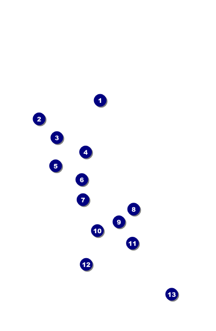 New Hampshire Drink Ticket Front Field Markers