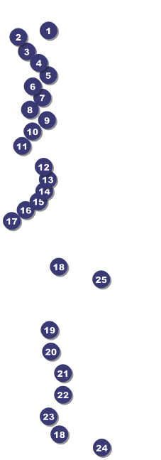 Fine Art Raffle Ticket Front Field Markers