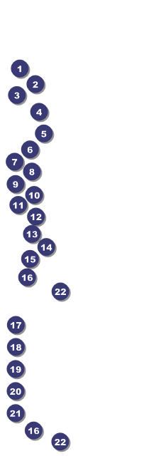 Missouri Raffle Ticket Front Field Markers