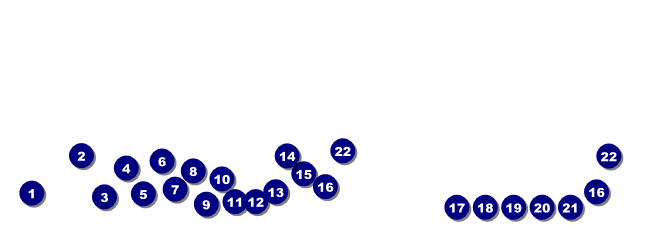 School Carnival Raffle Ticket Front Field Markers