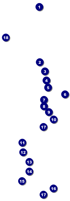 Winter Festival Raffle Ticket Front Field Markers