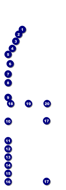 Tampa Bay Raffle Ticket Front Field Markers