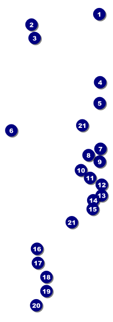 Birthday Party Raffle Ticket Front Field Markers