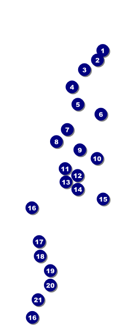 Chinese New Year Raffle Ticket Front Field Markers