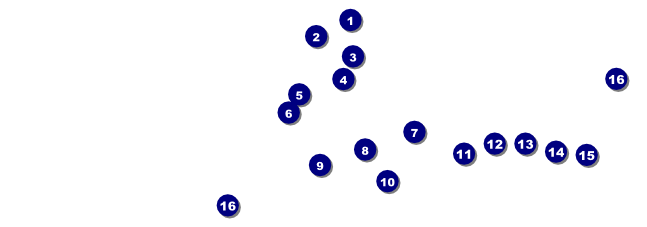 Fiesta Raffle Ticket Front Field Markers