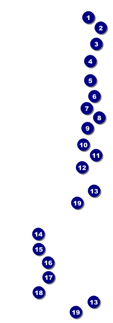 Yard Line Football Team Raffle Ticket Front Field Markers