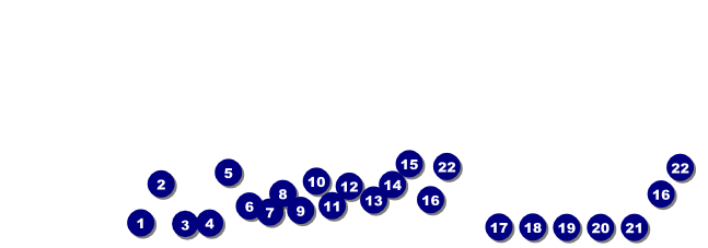 St. Louis (black and white) Raffle Ticket with stub Front Field Markers