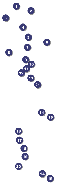 Ride Raffle Ticket with stub Front Field Markers