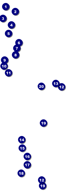 Your Image Raffle Ticket 001 (Green) Front Field Markers