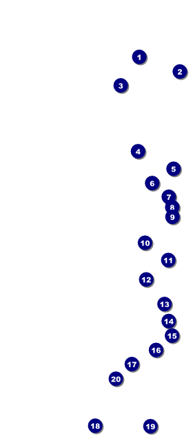 Fishing and Hunting Expo VIP Pass Front Field Markers