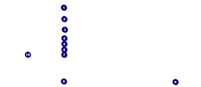 Patriotic Vote VIP Pass Front Field Markers