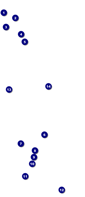 Roller Derby Jammer VIP Pass Front Field Markers