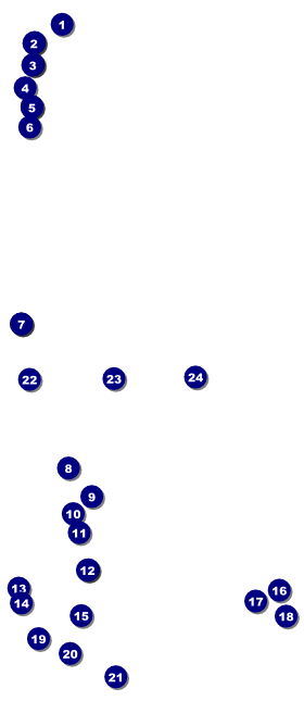 Lotus Flower VIP Pass Front Field Markers