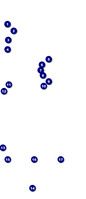 Animal Rescue VIP Pass Front Field Markers